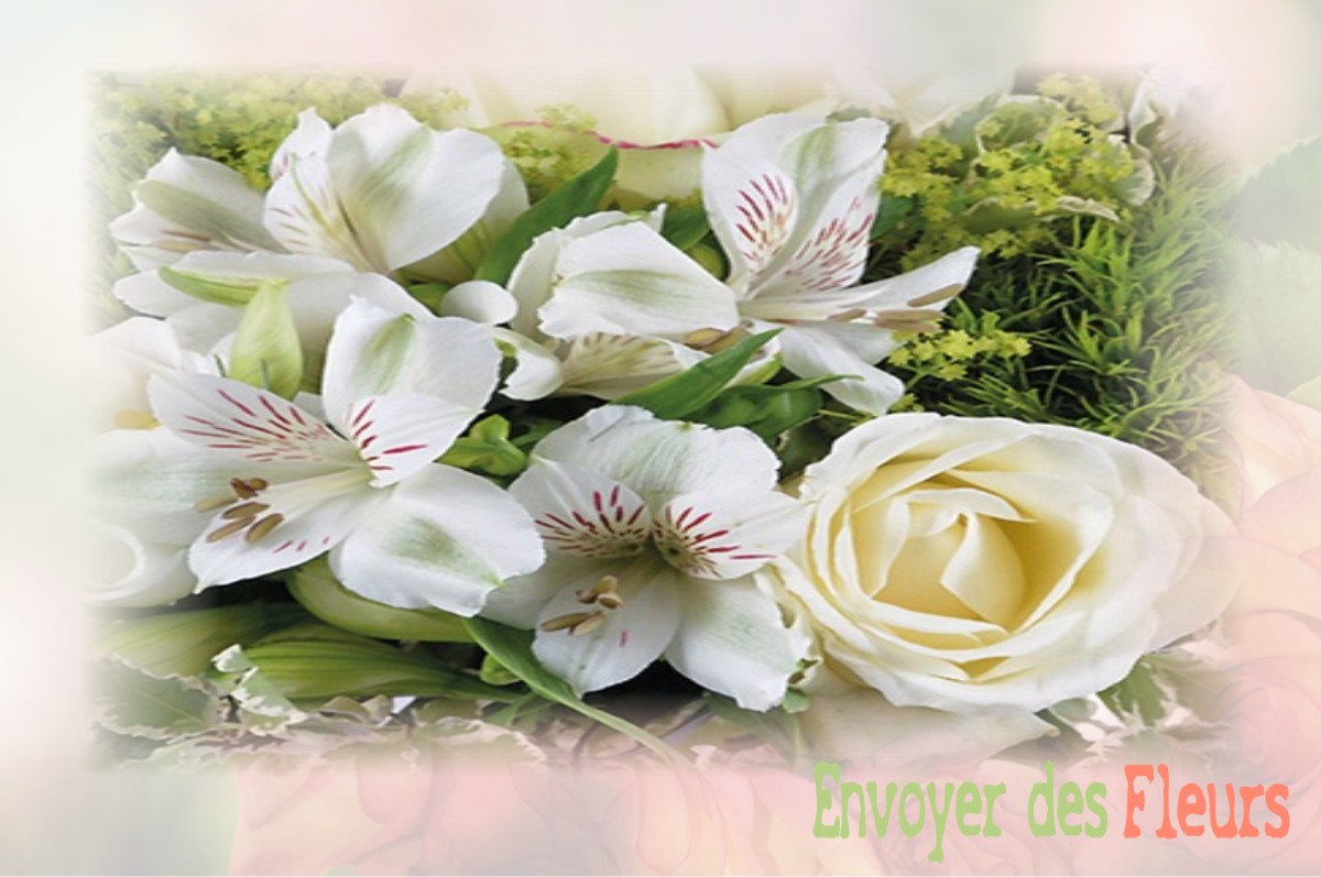 envoyer des fleurs à à VERNEUIL-SUR-IGNERAIE